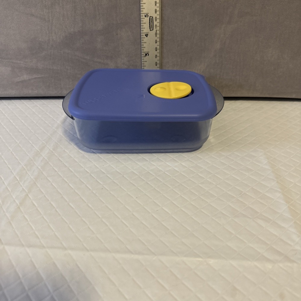 Tupperware Rock N Serve 2½‎ Cups Blue Container with Lid Vent Square 3385